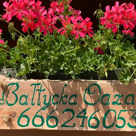 Bałtycka Oaza * Debina (Ustka)