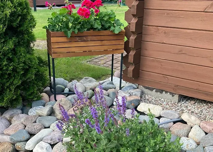 Baltycka Oaza * Debina (Ustka)