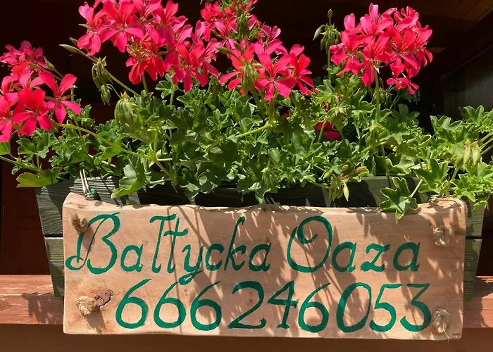 Baltycka Oaza * Debina (Ustka)